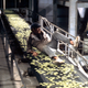 The realization that Soylent Green isn’t just food, it’s people.